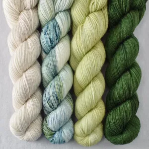 Beanstalk, Dewdrop, Pacifica, Plover - Yummy 2-Ply Quartet - Babette