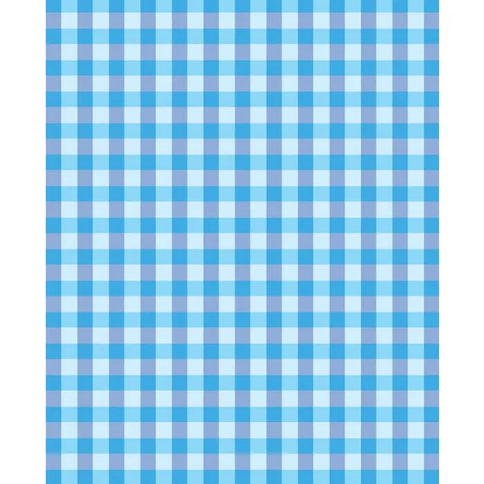 Blue Plaid Printed Backdrop