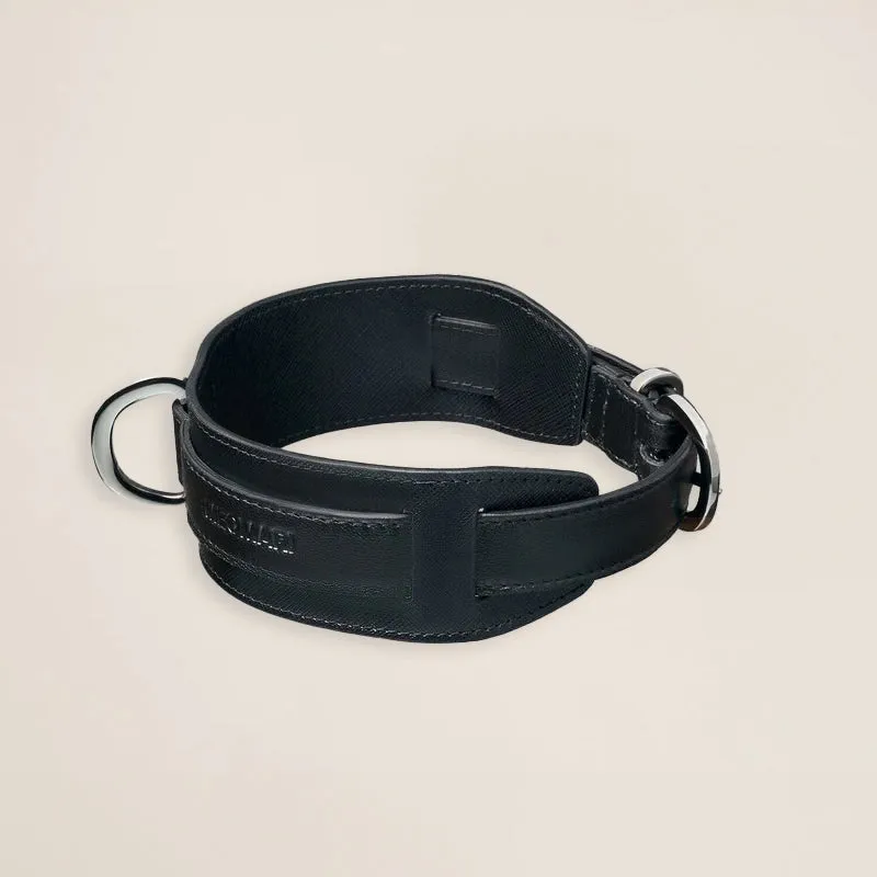 Lou Collar
