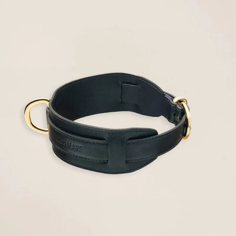 Lou Collar