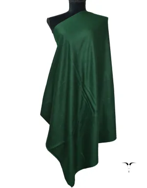 Plain Pashmina Shawl In Shade-17D