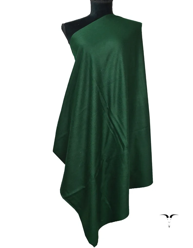 Plain Pashmina Shawl In Shade-17D