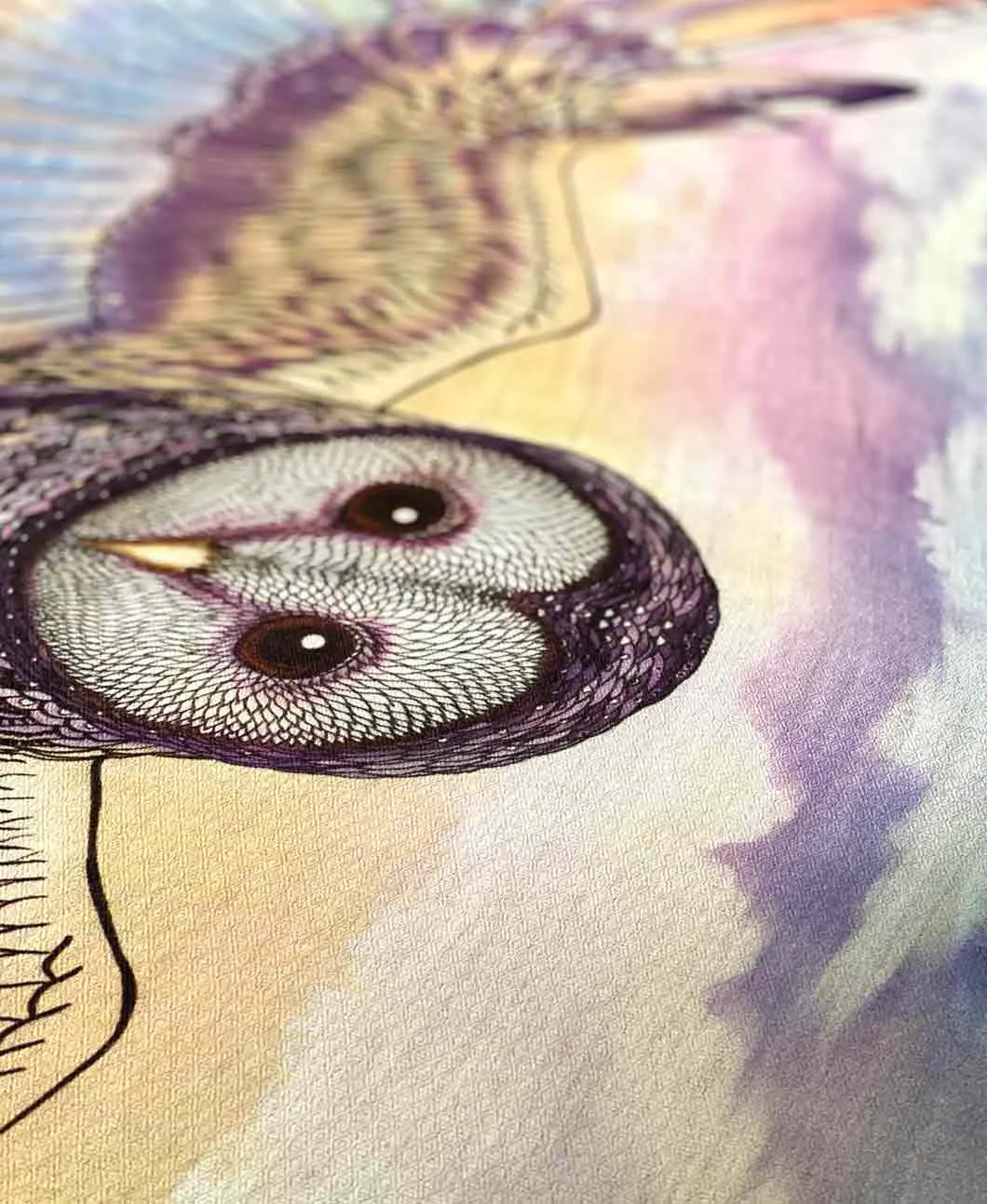 Sunset Owl